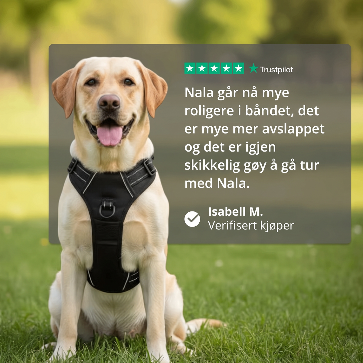 EASYTUR™ ANTI-TREKK SELE