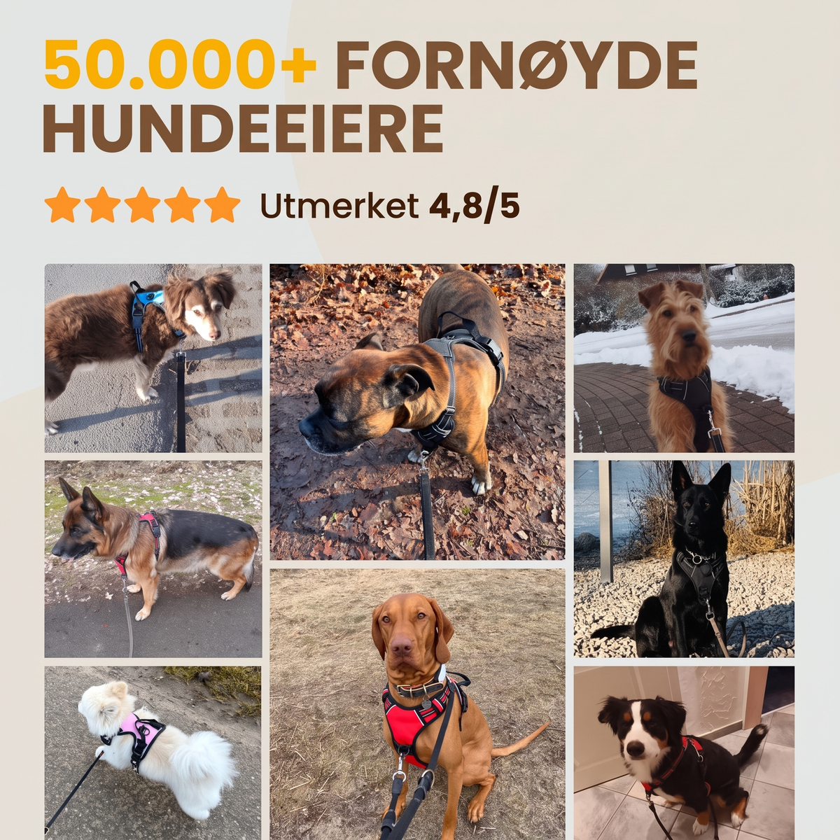 EASYTUR™ ANTI-TREKK SELE